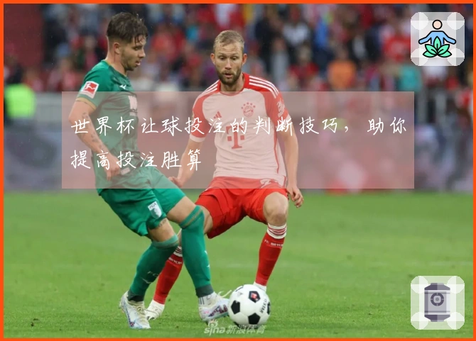 世界杯让球投注的判断技巧，助你提高投注胜算