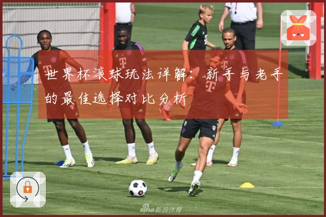 世界杯滚球玩法详解：新手与老手的最佳选择对比分析