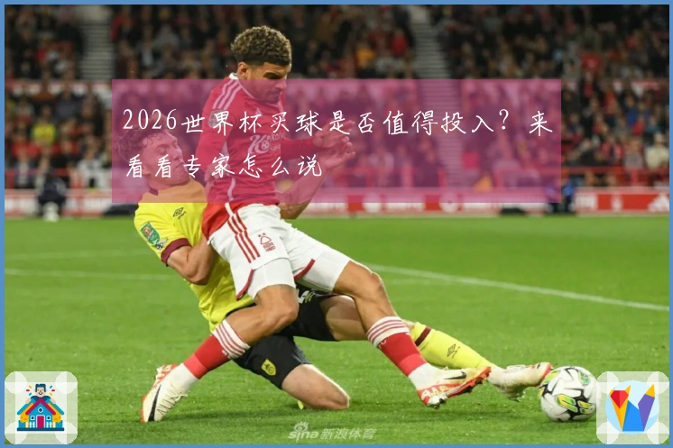 2026世界杯买球是否值得投入？来看看专家怎么说