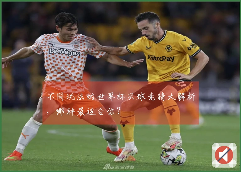 不同玩法的世界杯买球竞猜大解析，哪种最适合你？
