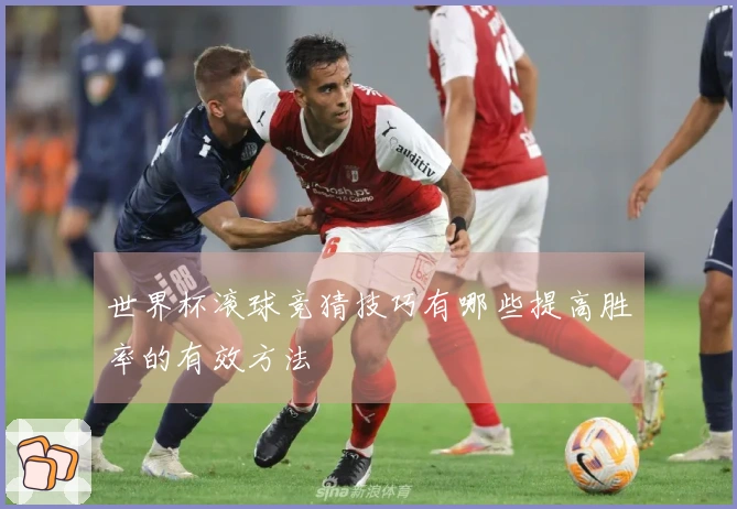 世界杯滚球竞猜技巧有哪些提高胜率的有效方法