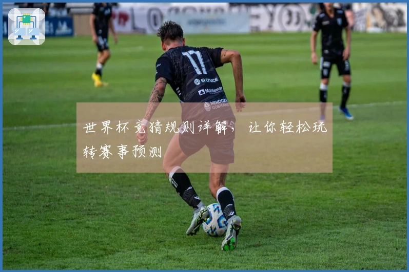 世界杯竞猜规则详解，让你轻松玩转赛事预测
