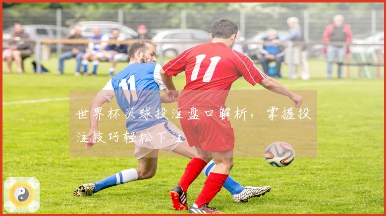 世界杯买球投注盘口解析，掌握投注技巧轻松下注