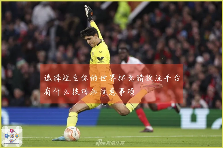 选择适合你的世界杯竞猜投注平台有什么技巧和注意事项
