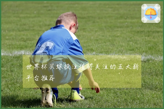 世界杯买球投注值得关注的五大新平台推荐