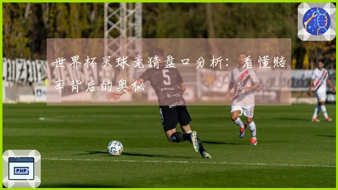 世界杯买球竞猜盘口分析：看懂赔率背后的奥秘
