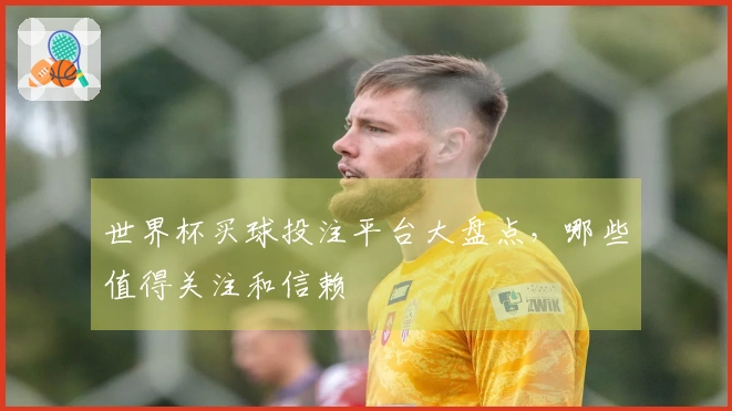 世界杯买球投注平台大盘点，哪些值得关注和信赖