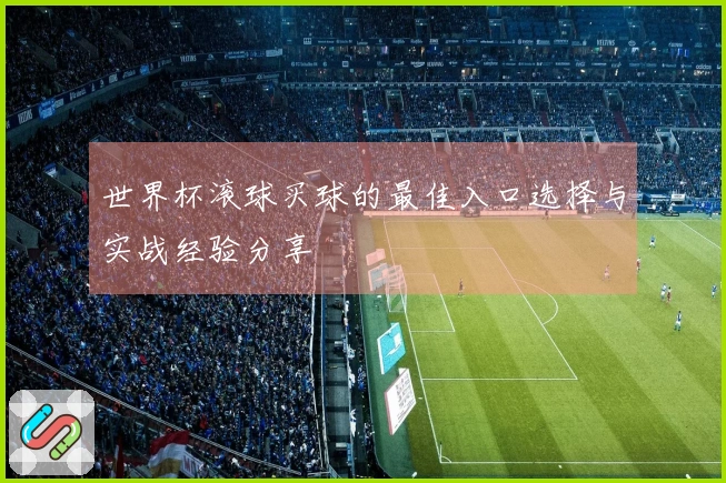 世界杯滚球买球的最佳入口选择与实战经验分享