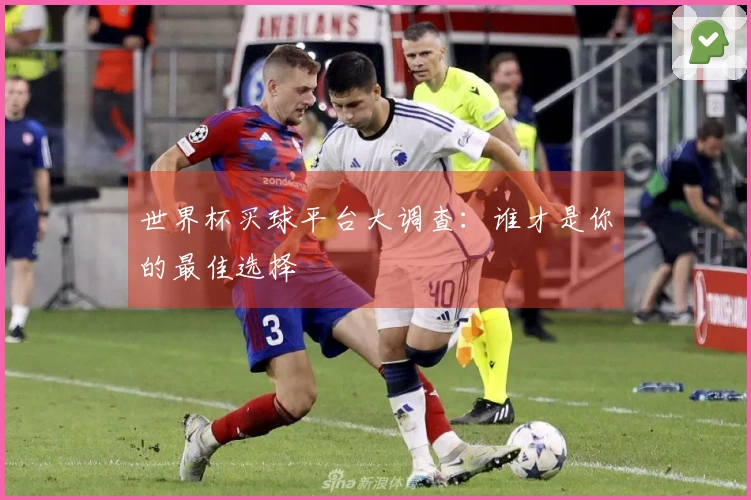 世界杯买球平台大调查：谁才是你的最佳选择