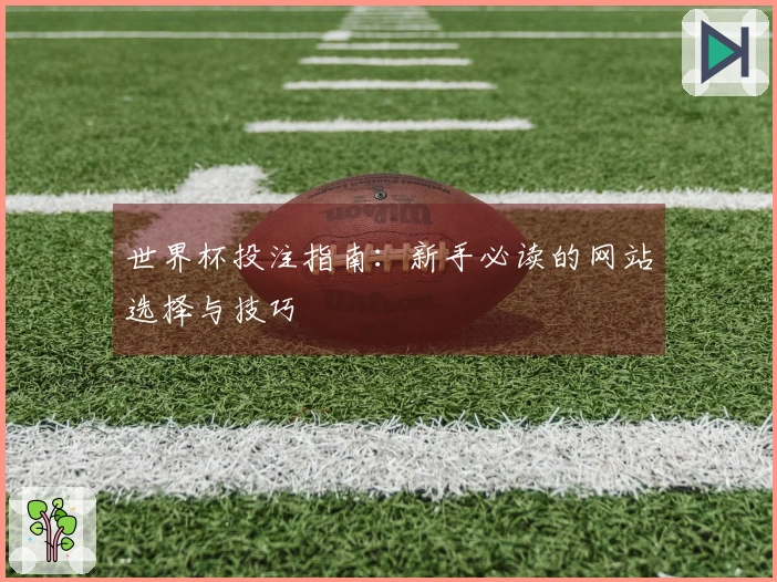 世界杯投注指南：新手必读的网站选择与技巧