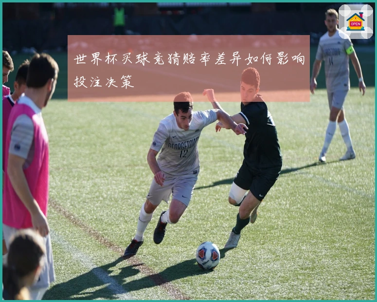 世界杯买球竞猜赔率差异如何影响投注决策