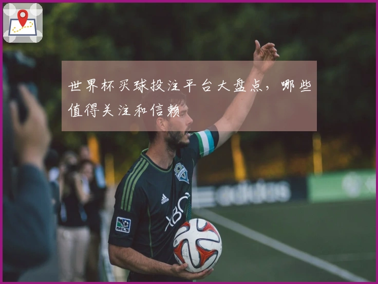 世界杯买球投注平台大盘点，哪些值得关注和信赖