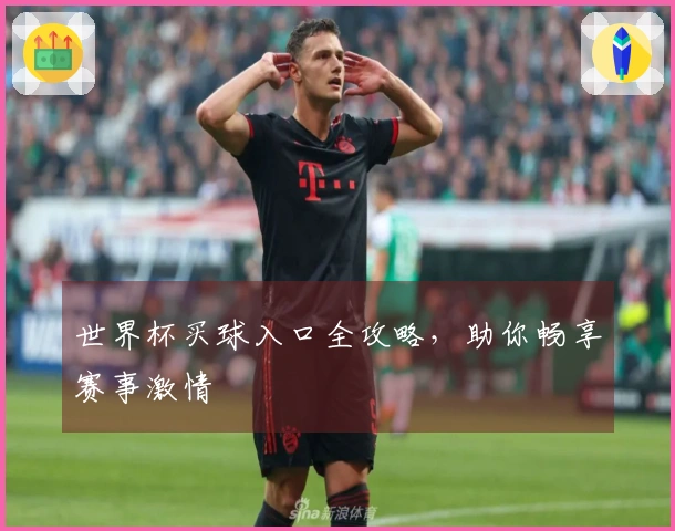 世界杯买球入口全攻略，助你畅享赛事激情