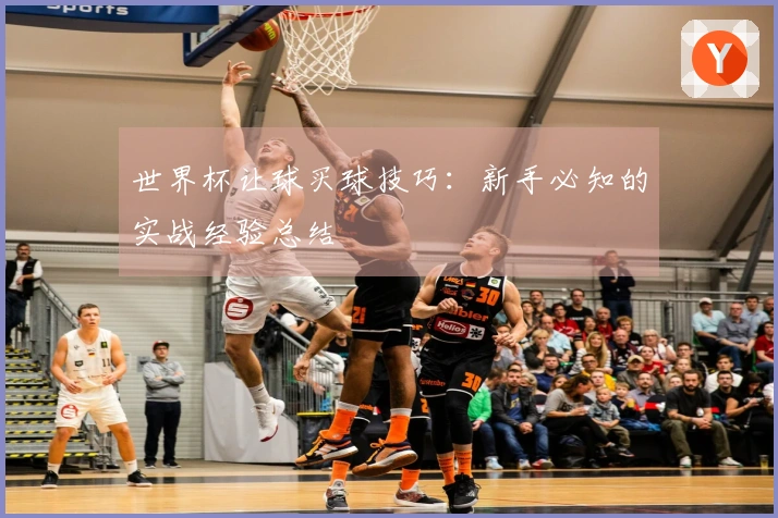 世界杯让球买球技巧：新手必知的实战经验总结