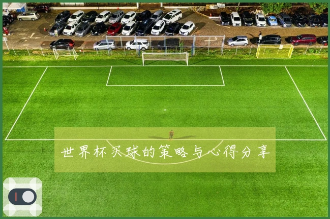 世界杯买球的策略与心得分享