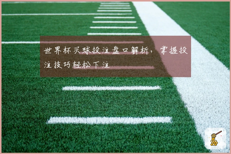 世界杯买球投注盘口解析，掌握投注技巧轻松下注